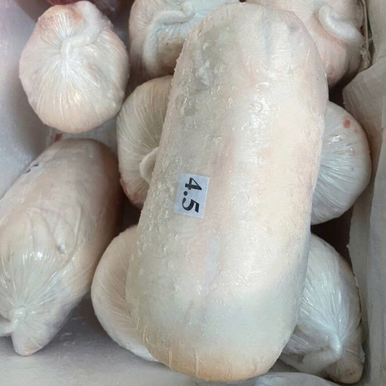 heo-dong-lanh-3