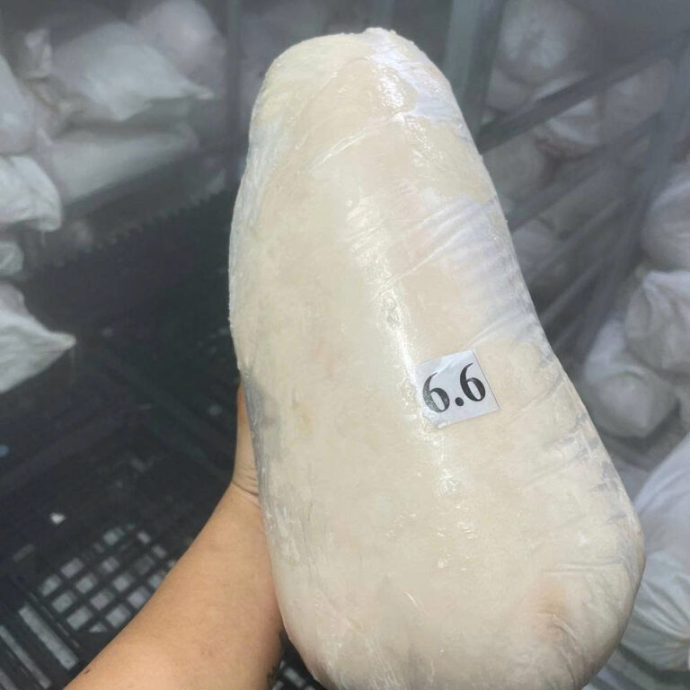heo-dong-lanh-4